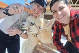 Medellín: privat omvisning i Guatapé og Piedra del Peñol