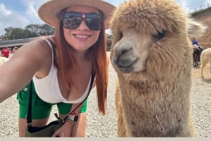 Medellín: privat omvisning i Guatapé og Piedra del Peñol