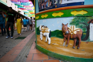 Medellin & Guatape: Three days of tour experience and magic