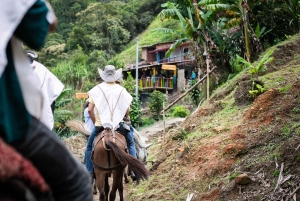 Medellin & Guatape: Drei Tage voller Erfahrung und Magie