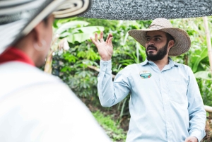 Medellin & Guatape: Drei Tage voller Erfahrung und Magie