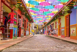 Medellin: wycieczka do Guatape z rejsem wycieczkowym, śniadaniem, obiadem i lamami