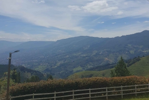 Medellin: Luxury and Private City Tour in French