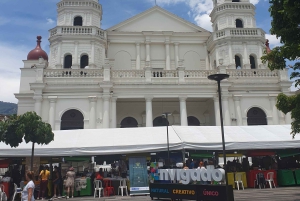 Medellin: Luxury and Private City Tour in French