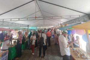 Medellin: Luxury and Private City Tour in French