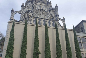 Medellin: Luxury and Private City Tour in French