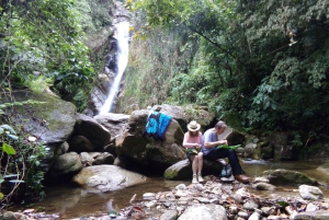 Medellín : Expérience de la nature et randonnée dans les cascades