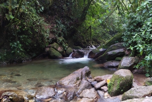 Medellín : Expérience de la nature et randonnée dans les cascades