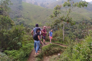 Medellín : Expérience de la nature et randonnée dans les cascades
