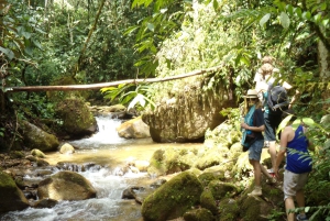 Medellín : Expérience de la nature et randonnée dans les cascades
