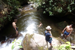 Medellín : Expérience de la nature et randonnée dans les cascades