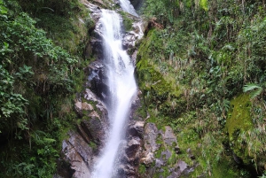 Medellín : Expérience de la nature et randonnée dans les cascades