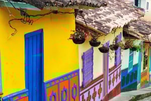 メデジン：グアタペとエル・ペニョールのプライベートツアー（コーヒー農園訪問付き）