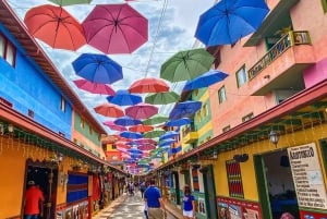 メデジン：グアタペとエル・ペニョールのプライベートツアー（コーヒー農園訪問付き）