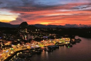 メデジン：グアタペとエル・ペニョールのプライベートツアー（コーヒー農園訪問付き）