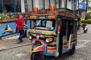 メデジン：グアタペとエル・ペニョールのプライベートツアー（コーヒー農園訪問付き）