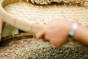 メデジン：グアタペとエル・ペニョールのプライベートツアー（コーヒー農園訪問付き）