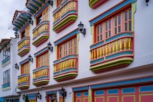 Medellín: Tour privato di Guatapé con colazione, pranzo e crociera