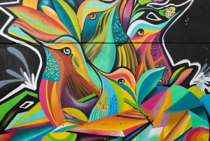 Recorrido por Medellín: Tour por la Comuna 13, graffitis y Metrocable