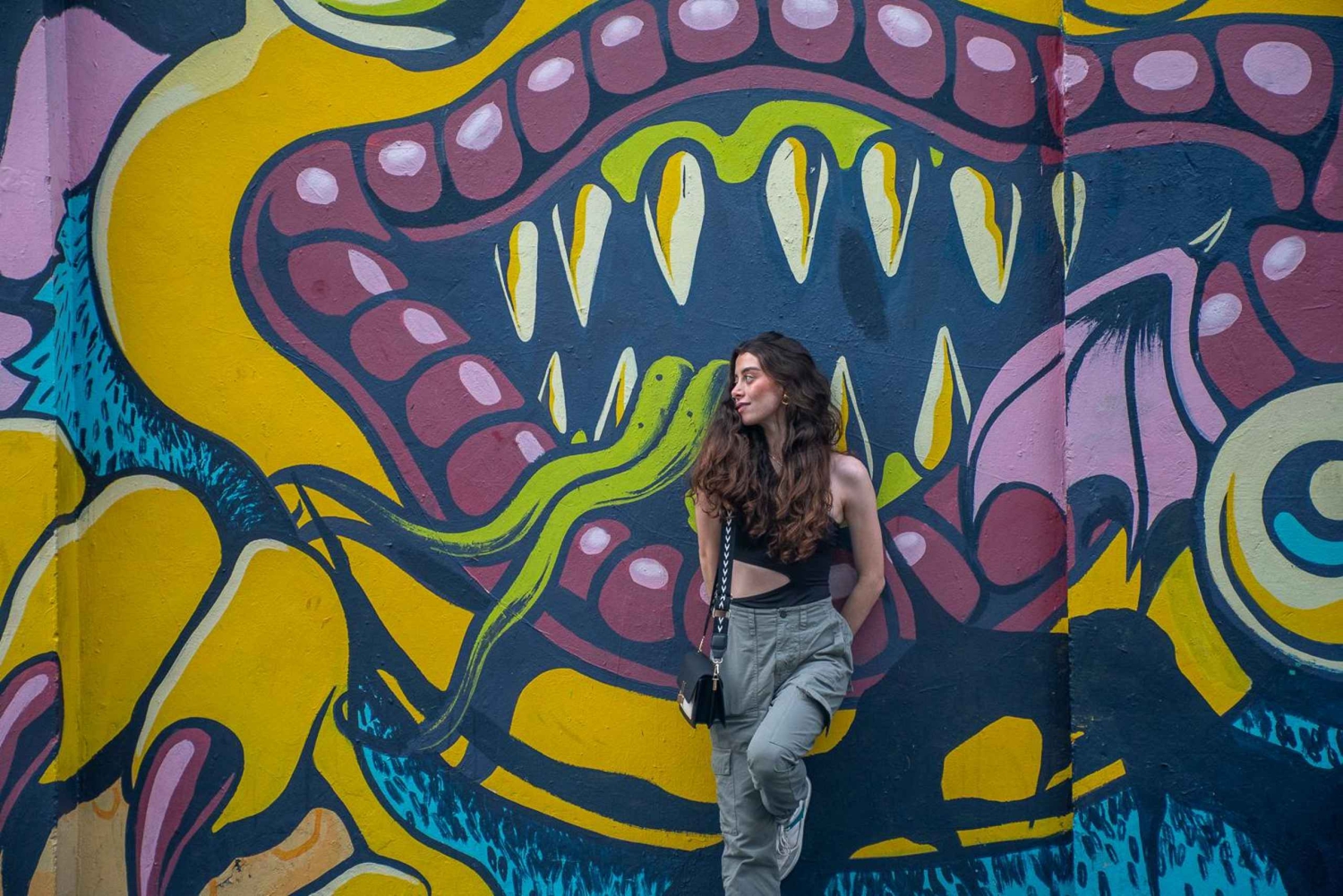 Medellin: Wandeltours en fotoshoots in Poblado