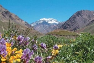Mendoza: Aconcagua Adventure in the Andes