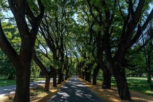 Mendoza: City Tour with Dinner at a Local Restaurant