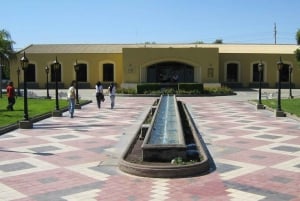 Mendoza: Stadtrundfahrt