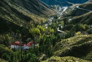 Mendoza: half day in the Andean foothills