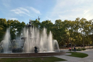 Mendoza: tour di mezza giornata panoramico