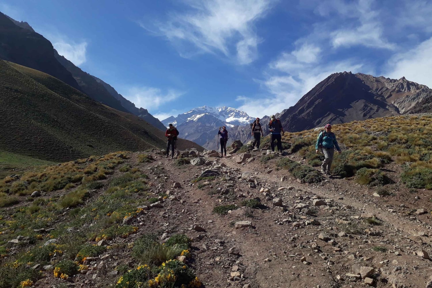 Mendoza: High Mountain and Aconcagua Park Tour with BBQ