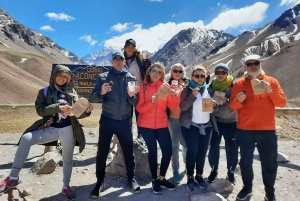 Mendoza: High Mountain and Aconcagua Park Tour with BBQ