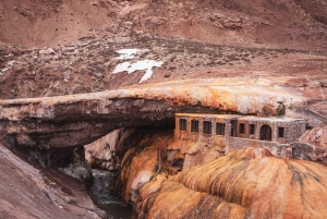 Mendoza: High Mountain and Aconcagua Park Tour with BBQ