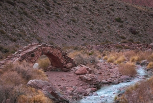 Mendoza: High Mountain and Aconcagua Park Tour with BBQ