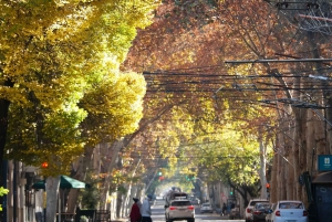 Mendoza: Historical City Walking Tour