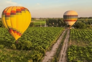 Mendoza: lot balonem nad winnicami Mendozy