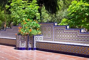 Mendoza Old Town Highlights Private Guided Walking Tour