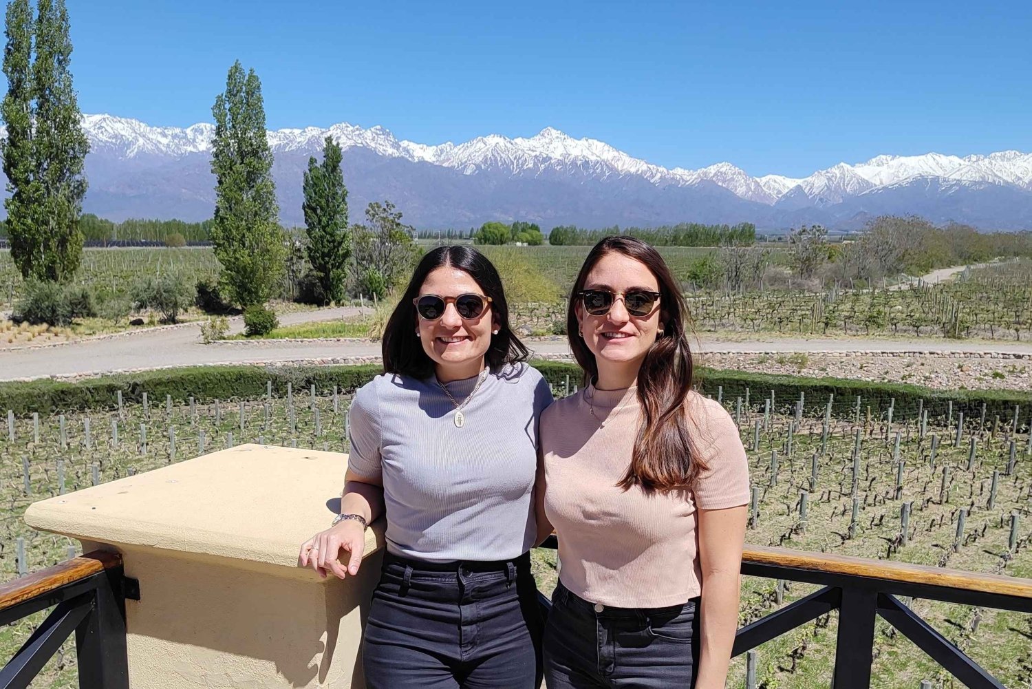 Mendoza: tour privato tutto compreso!