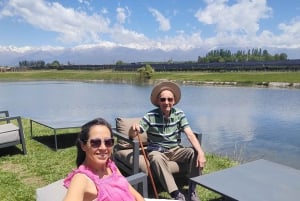 Mendoza: tour privato tutto compreso!