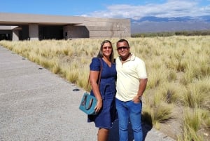 Mendoza: tour privato tutto compreso!