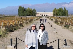 Mendoza: tour privato tutto compreso!