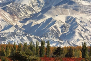Mendoza Wine Road Trip tour
