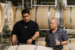 Mendoza: Winery and Distillery Tour with Lunch