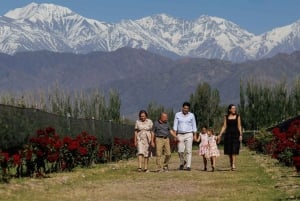 Mendoza: Winery and Distillery Tour with Lunch