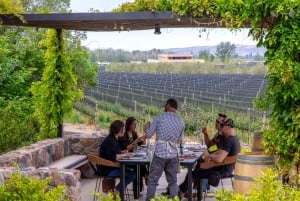 Mendoza: Winery and Distillery Tour with Lunch