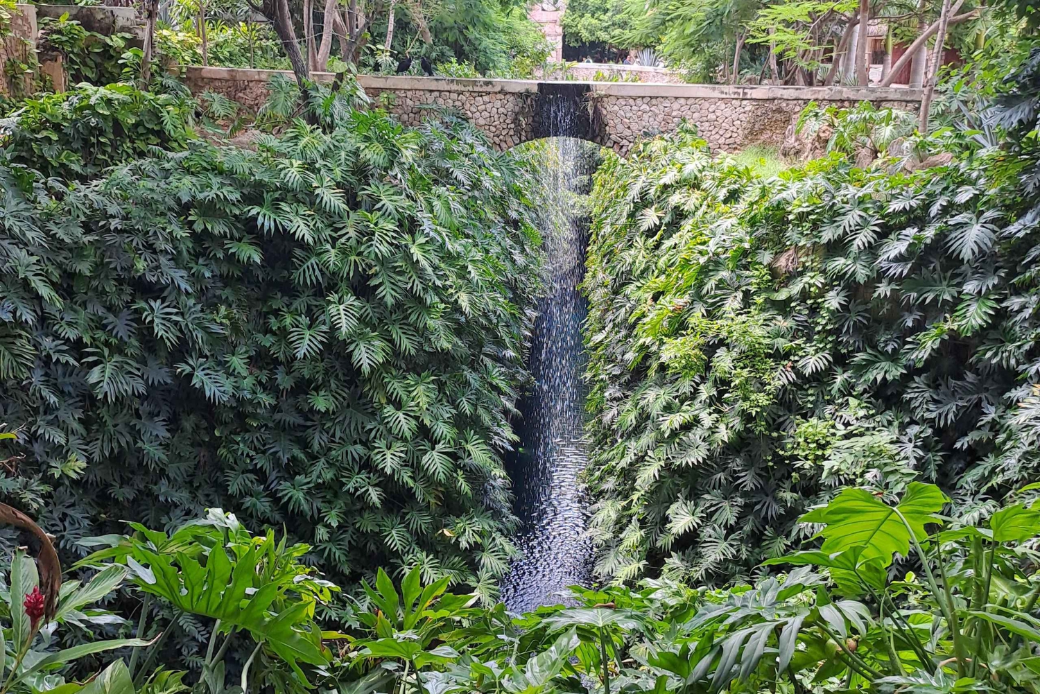 Merida: Cenoten Hacienda Mucuyché en Uxmal