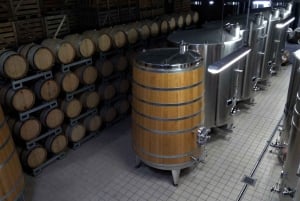 Wycieczka „Meunier Champagne Experience” – Passy-Grigny