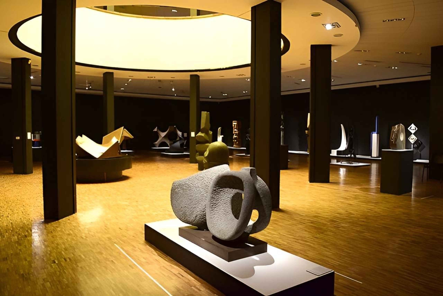 Ciudad de México: Tour por los museos de arte