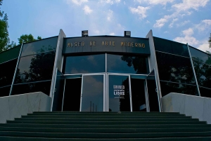 Ciudad de México: Tour por los museos de arte