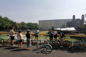 Mexico City: Art Naco, vægmalerier og street art-cykeltur