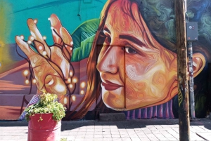 Mexico City: Art Naco, vægmalerier og street art-cykeltur